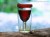 Vino2Go Portable Wine Cup