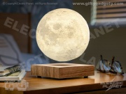 Gingko Smart Moon Light